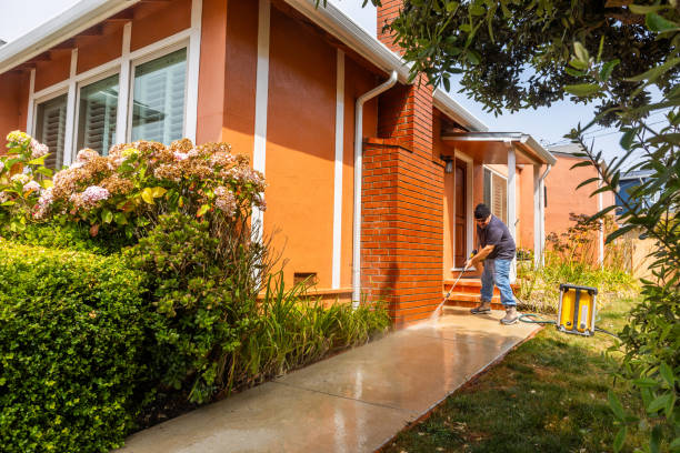 Best Roof Power Washing Services  in Edgewood, FL